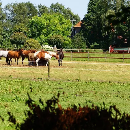 Koersjes Bed & Breakfast