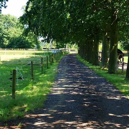 Koersjes Bed & Breakfast Eerbeek