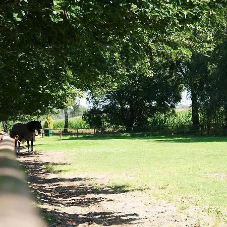 Koersjes Eerbeek