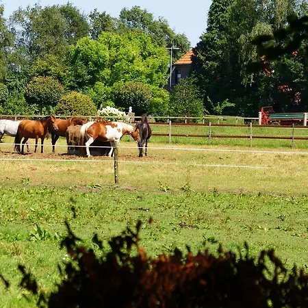 Koersjes Bed & Breakfast