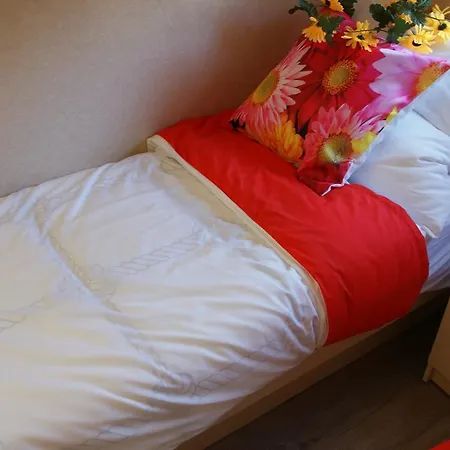 Bed & Breakfast Koersjes *
